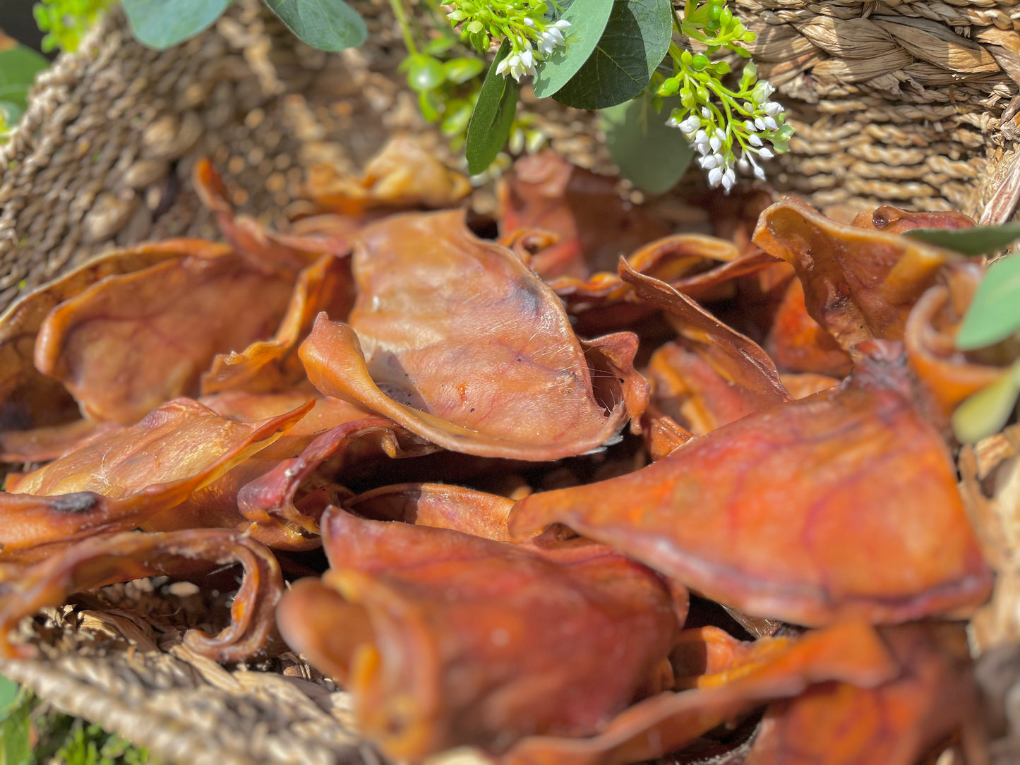 Pig Ear
