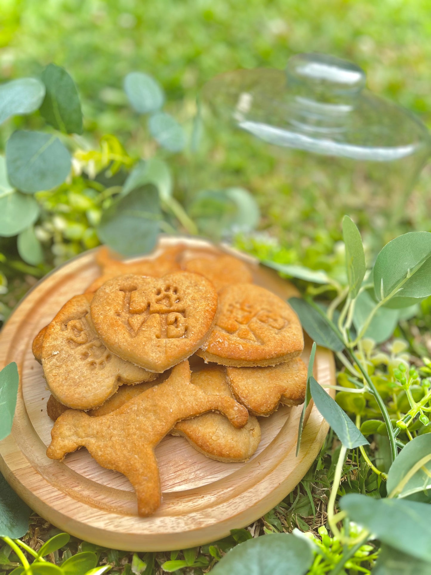 Dog Safe Cookies, 12pk