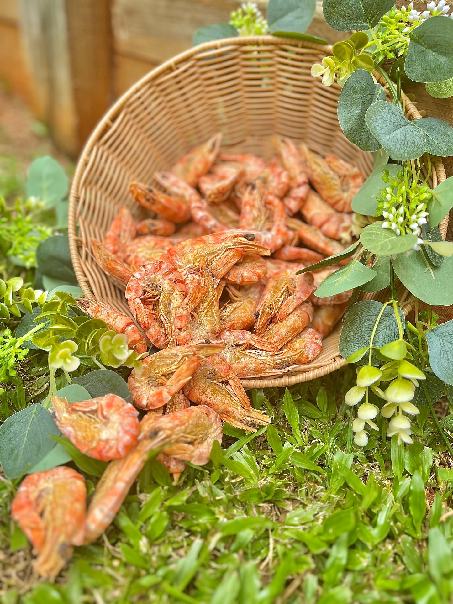 Dehydrated Prawns 100g